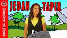 Jedan tapir
